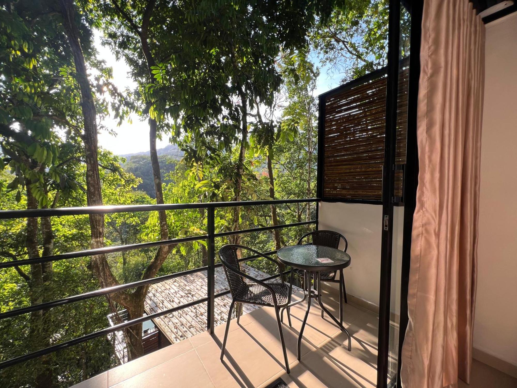 Rincon De La Sierra Minca Hotel Eksteriør billede